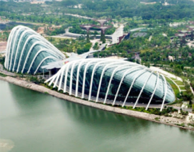 Singapore Garden by the bay (2011)